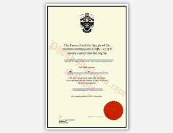 Rand Afrikaans University - Fake Diploma Sample from Africa